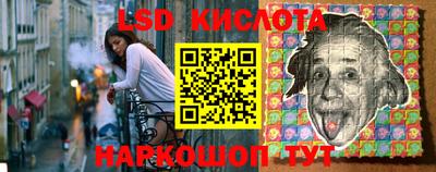 дживик Гай