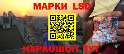 спиды Гатчина