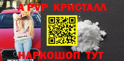 спиды Гатчина