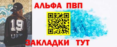 спиды Гатчина