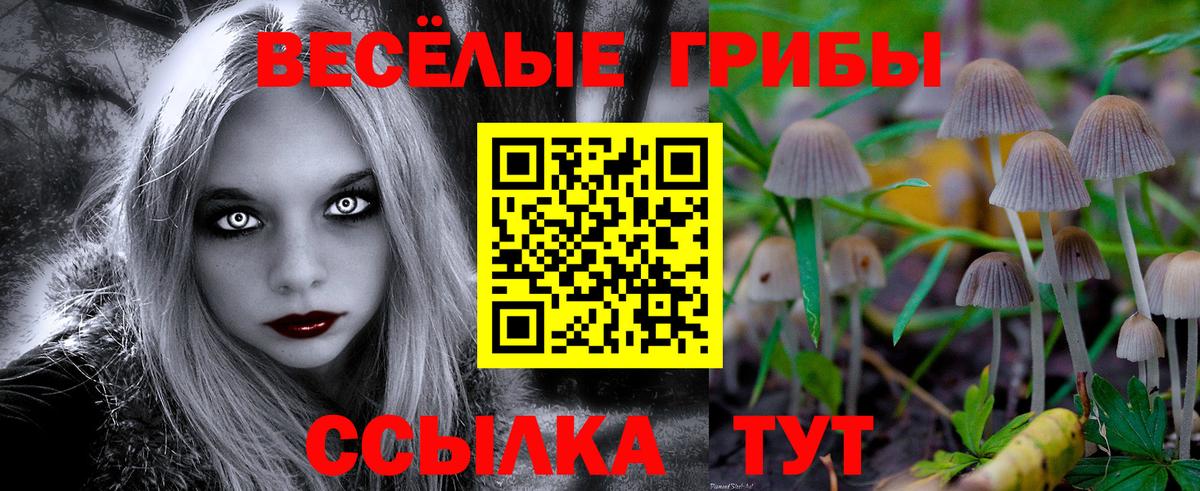 Псилоцибиновые грибы Psilocybe Ливны